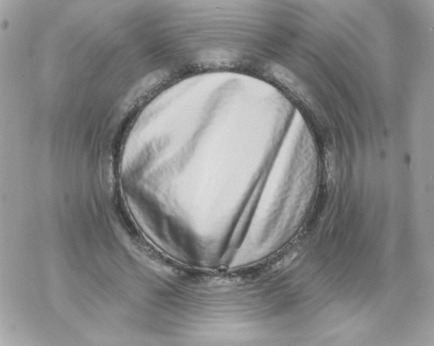 X0000070880494200607071951