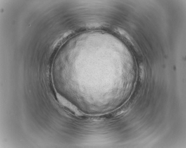 X0000070880495200607071951