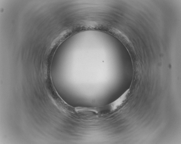 X0000070880496200607071951