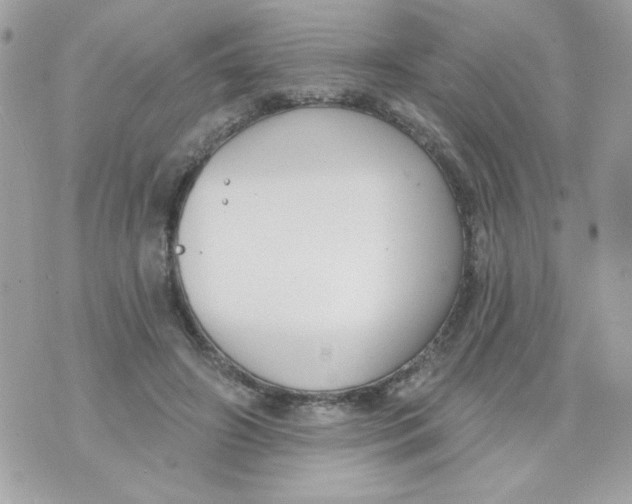 X0000070880498200607071951