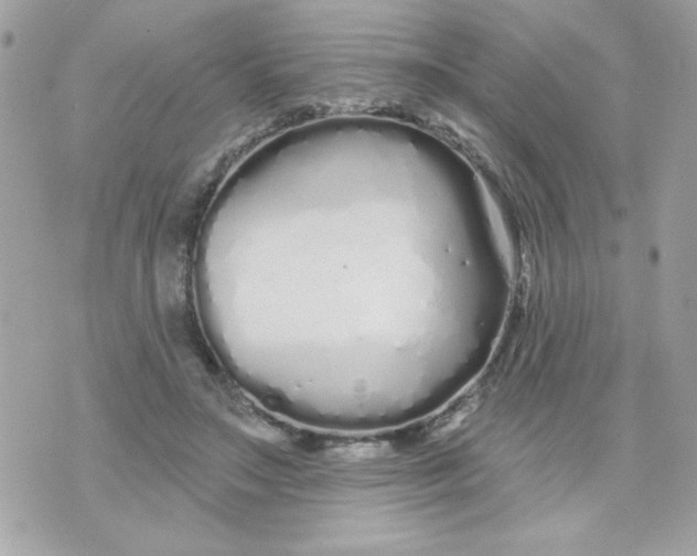 X0000070880499200607071951