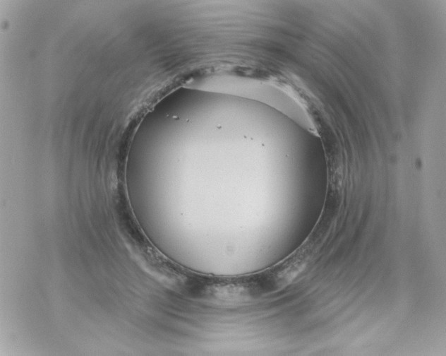 X0000070880500200607071951