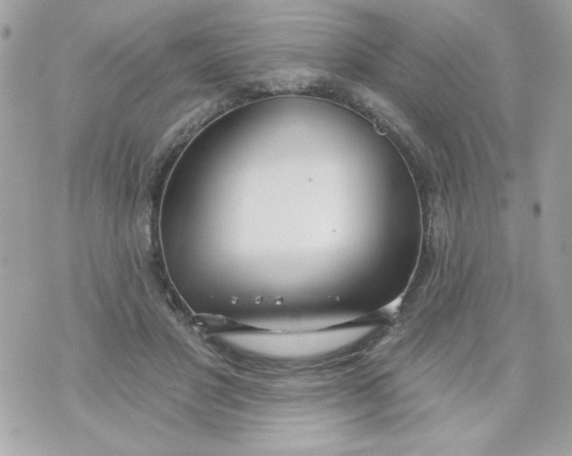 X0000070880501200607071951