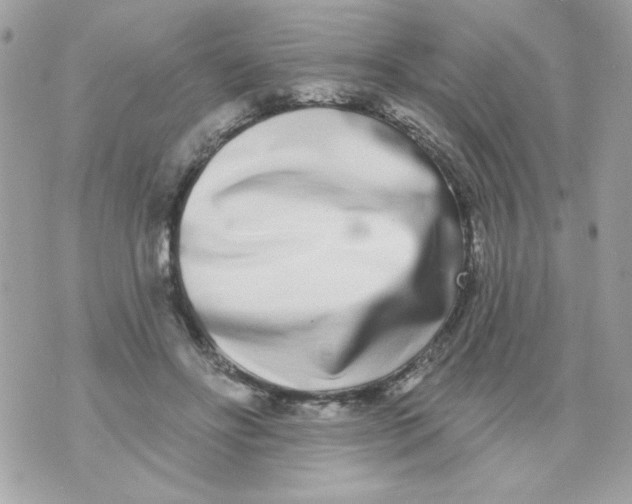 X0000070880502200607071951