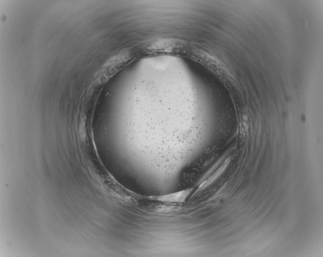 X0000070880504200607071951