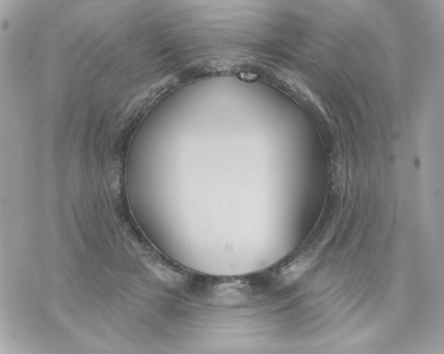 X0000070880505200607071951