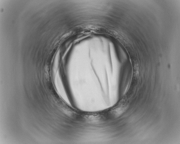 X0000070880506200607071951