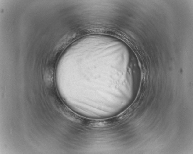 X0000070880507200607071951