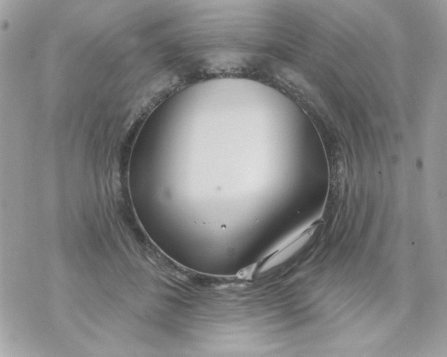 X0000070880508200607071951