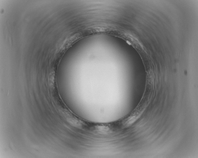 X0000070880509200607071951