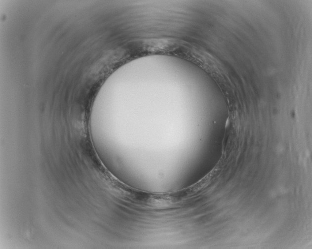 X0000070880510200607071951