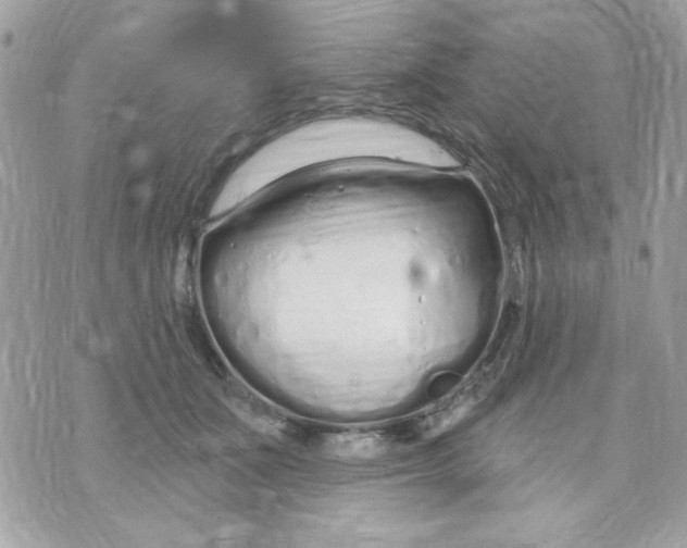 X0000070880511200607071951