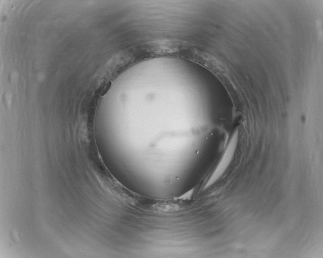 X0000070880512200607071951