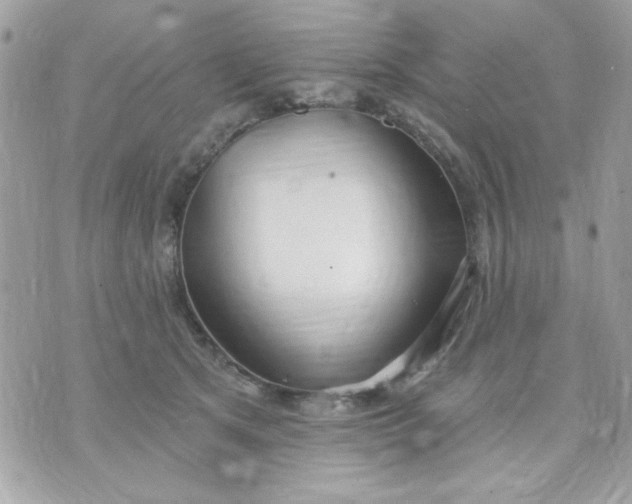 X0000070880513200607071951