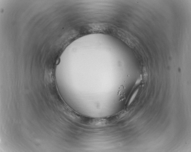 X0000070880514200607071951