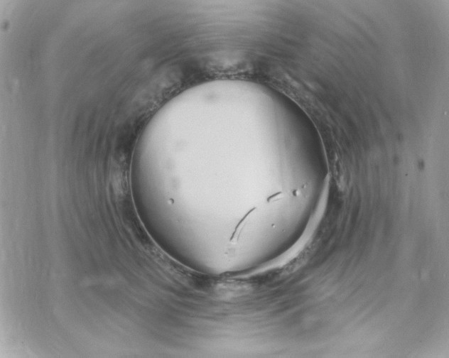 X0000070880515200607071951