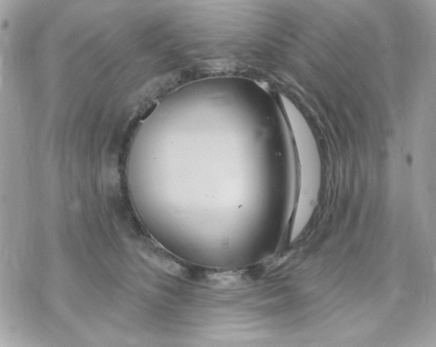 X0000070880516200607071951