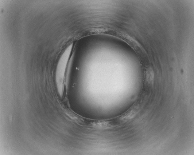 X0000070880517200607071951