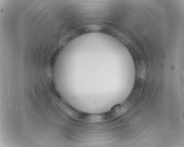 X0000070880518200607071951