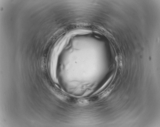 X0000070880519200607071951