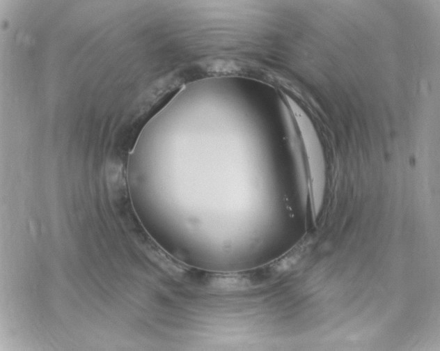 X0000070880521200607071951