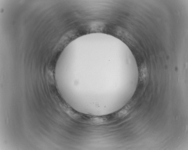 X0000070880522200607071951