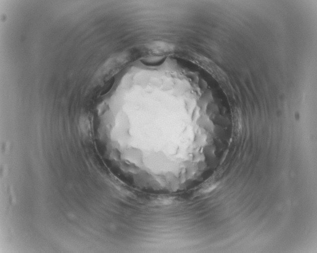 X0000070880523200607071951