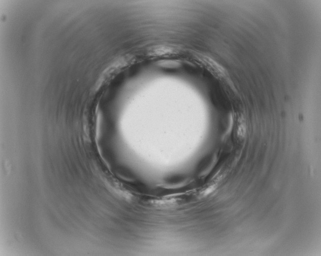 X0000070880524200607071951