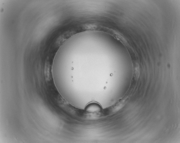 X0000070880525200607071951