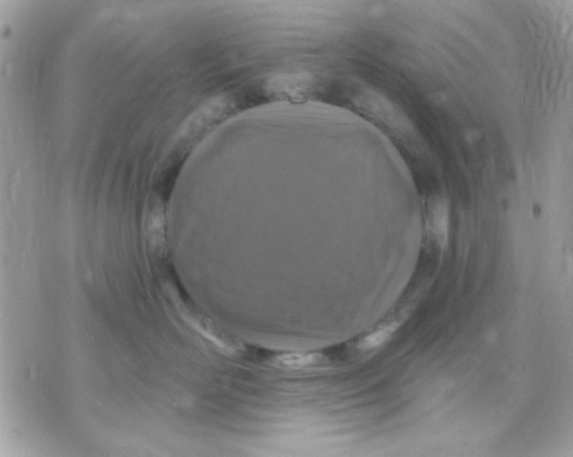 X0000070880526200607071951