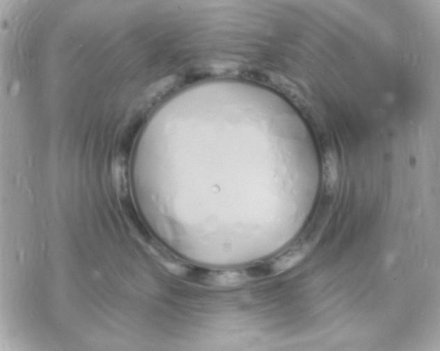 X0000070880527200607071951