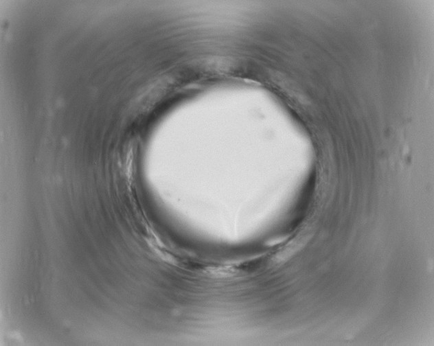 X0000070880528200607071951