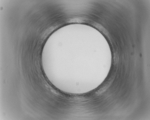 X0000070880529200607071950