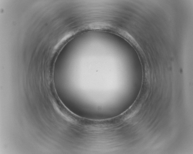 X0000070880530200607071950