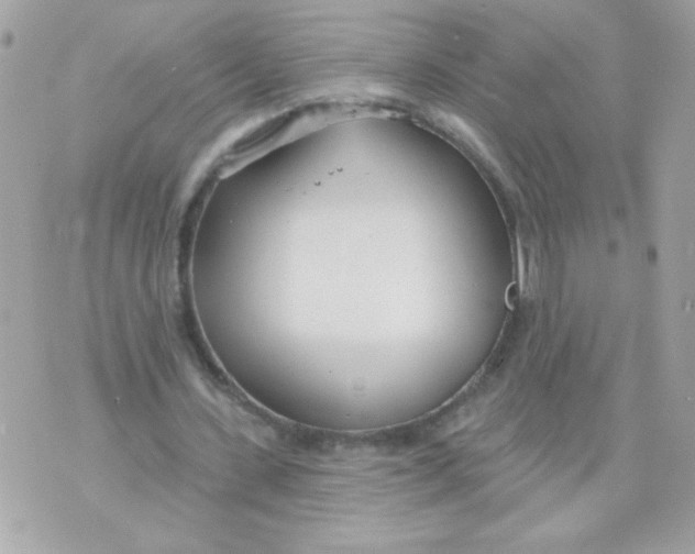 X0000070880531200607071950