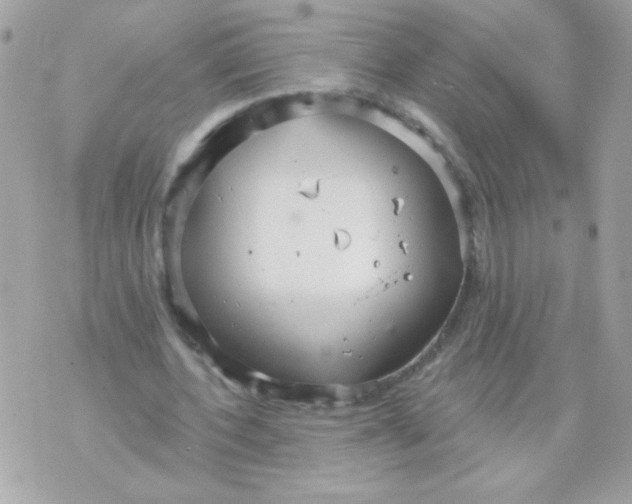 X0000070880532200607071950