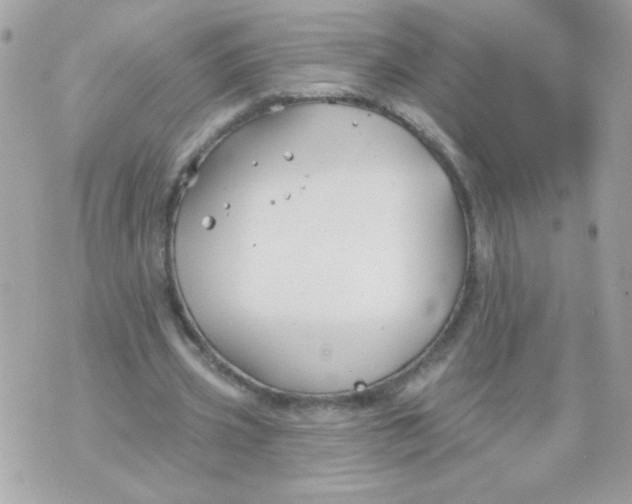 X0000070880533200607071950