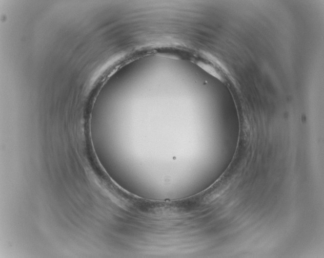 X0000070880535200607071950