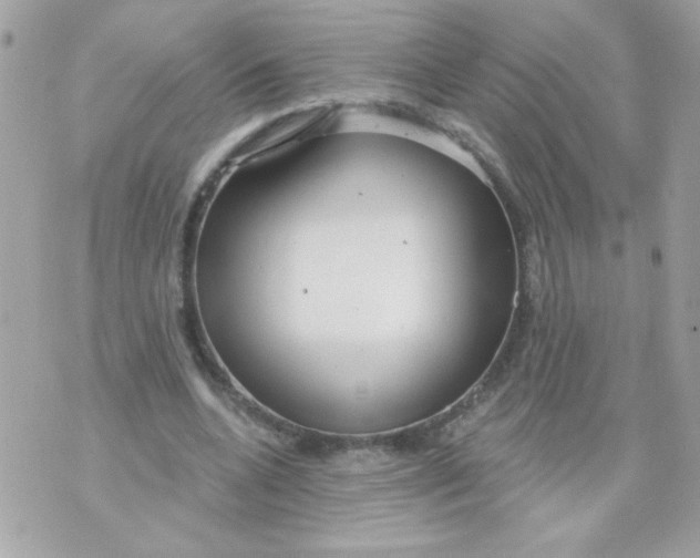 X0000070880536200607071950