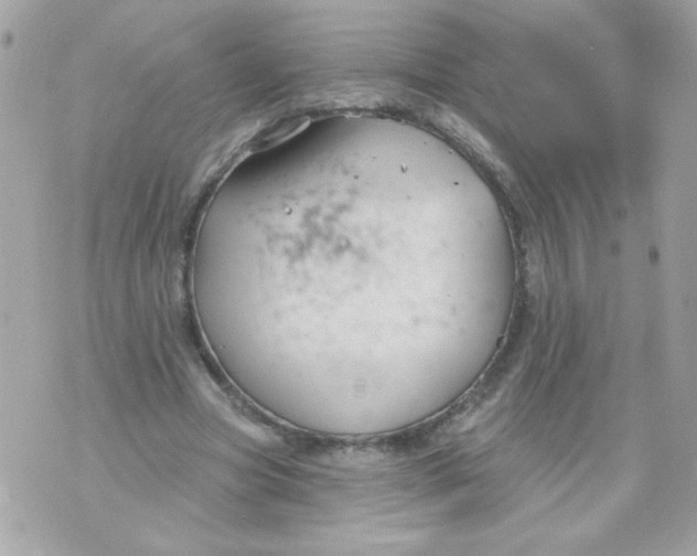 X0000070880537200607071950