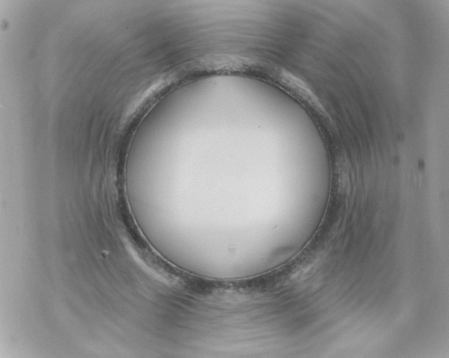 X0000070880538200607071950