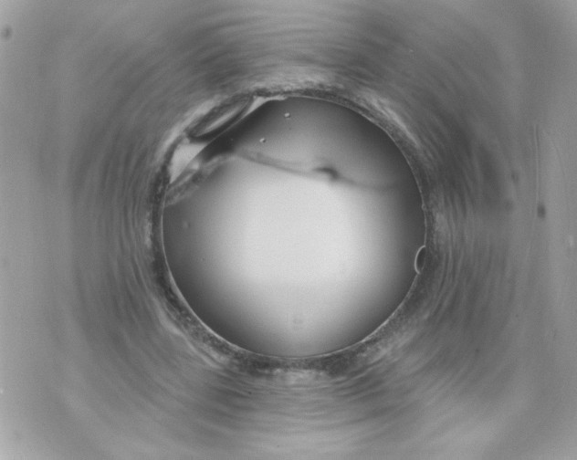 X0000070880539200607071950