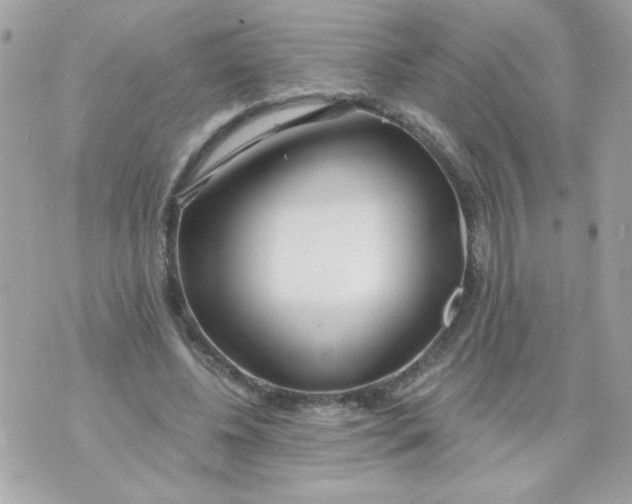 X0000070880540200607071950