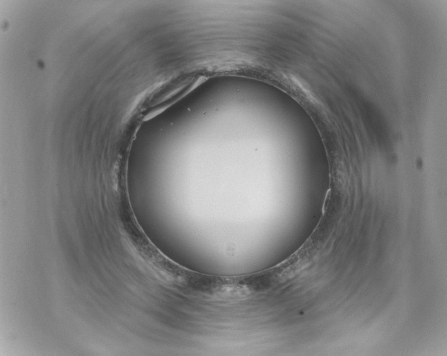 X0000070880543200607071950