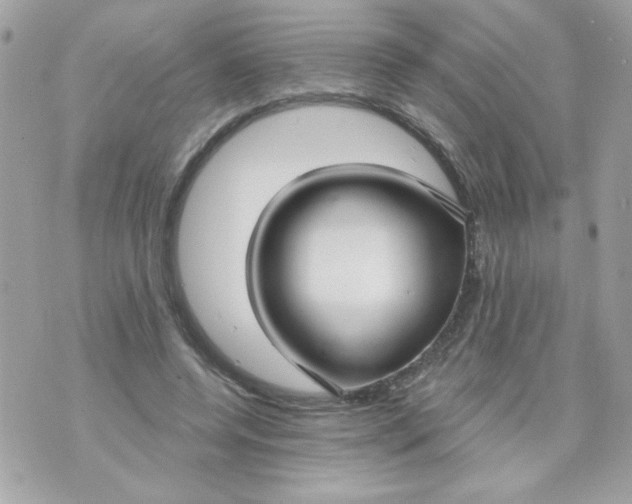 X0000070880544200607071950