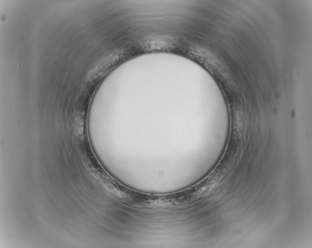 X0000070880545200607071950