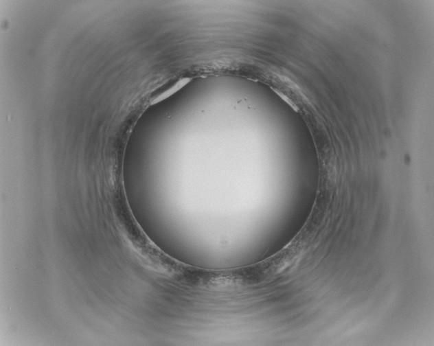 X0000070880546200607071950