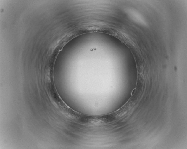 X0000070880547200607071950