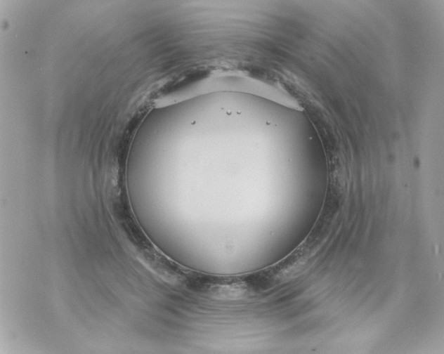 X0000070880548200607071950