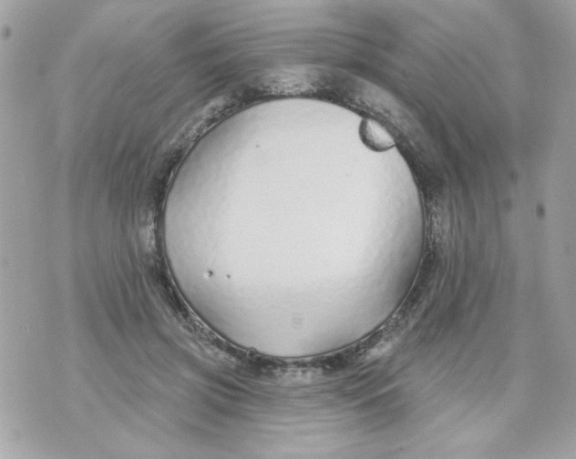 X0000070880549200607071950